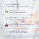tinnitus-support---helps-to-stop-ringing-3.jpg