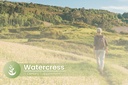 pure-original-ingredients-watercress-100-5.jpg