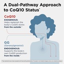 designs-for-health-q-evail-200-synergy-2-4.jpg