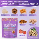 mushroom-supplement-gummies-with-ashwaga-2.jpg