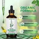 mullein-drops-for-lungs---mullein-leaf-e-2.jpg