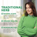 mullein-drops-for-lungs---mullein-leaf-e-4.jpg
