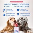 native-pet-the-daily-dog-supplement-30-s-3.jpg