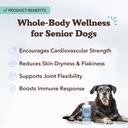 natural-dog-company-senior-dog-bundle-om-6.jpg