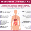 wholesome-wellness-dr-formulated-raw-pro-6.jpg