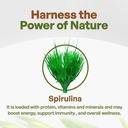 go-nutra-organic-spirulina-tablets-nutri-3.jpg