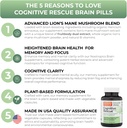 cognitive-rescue-lions-mane-mushroom-cap-3.jpg