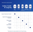pure-encapsulations-nac-900-mg---n-acety-6.jpg