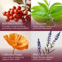 apothekary-wine-down-natural-sleep-and-r-3.jpg