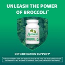 nutramax-avmacol-1-researched-sulforapha-3.jpg