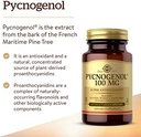 solgar-pycnogenol-100-mg-30-vegetable-ca-2.jpg