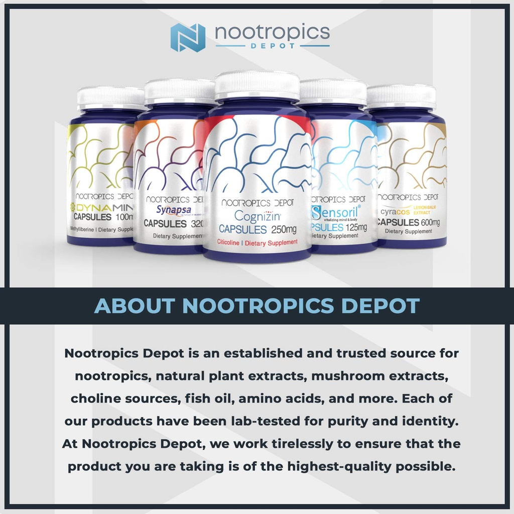 nootropics-depot-creatine-monohydrate-po-3.jpg