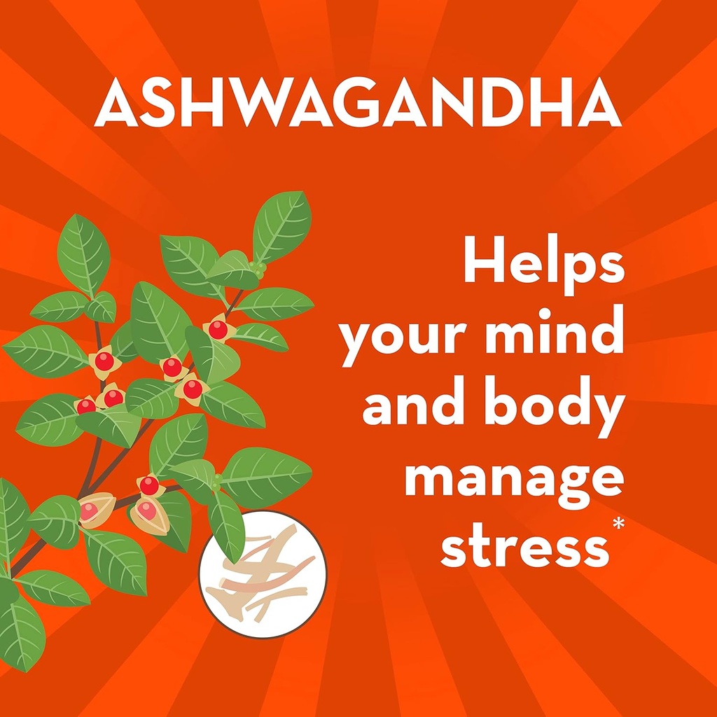 align-probiotic-digestive-de-stress-prob-3.jpg