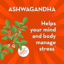 align-probiotic-digestive-de-stress-prob-3.jpg