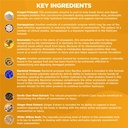 herbame-proteolytic-enzymes-supplement-w-5.jpg