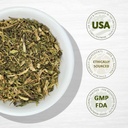 evergreen-herbs-epazote-de-comer-herb----4.jpg