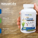 bundle-clean-l-lysine-biofilm-immune-com-2.jpg