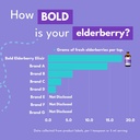 elderberry-elixir-65x-concentrated-extra-6.jpg