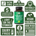 wormwood-black-walnut-clove-cleanse-for--2.jpg