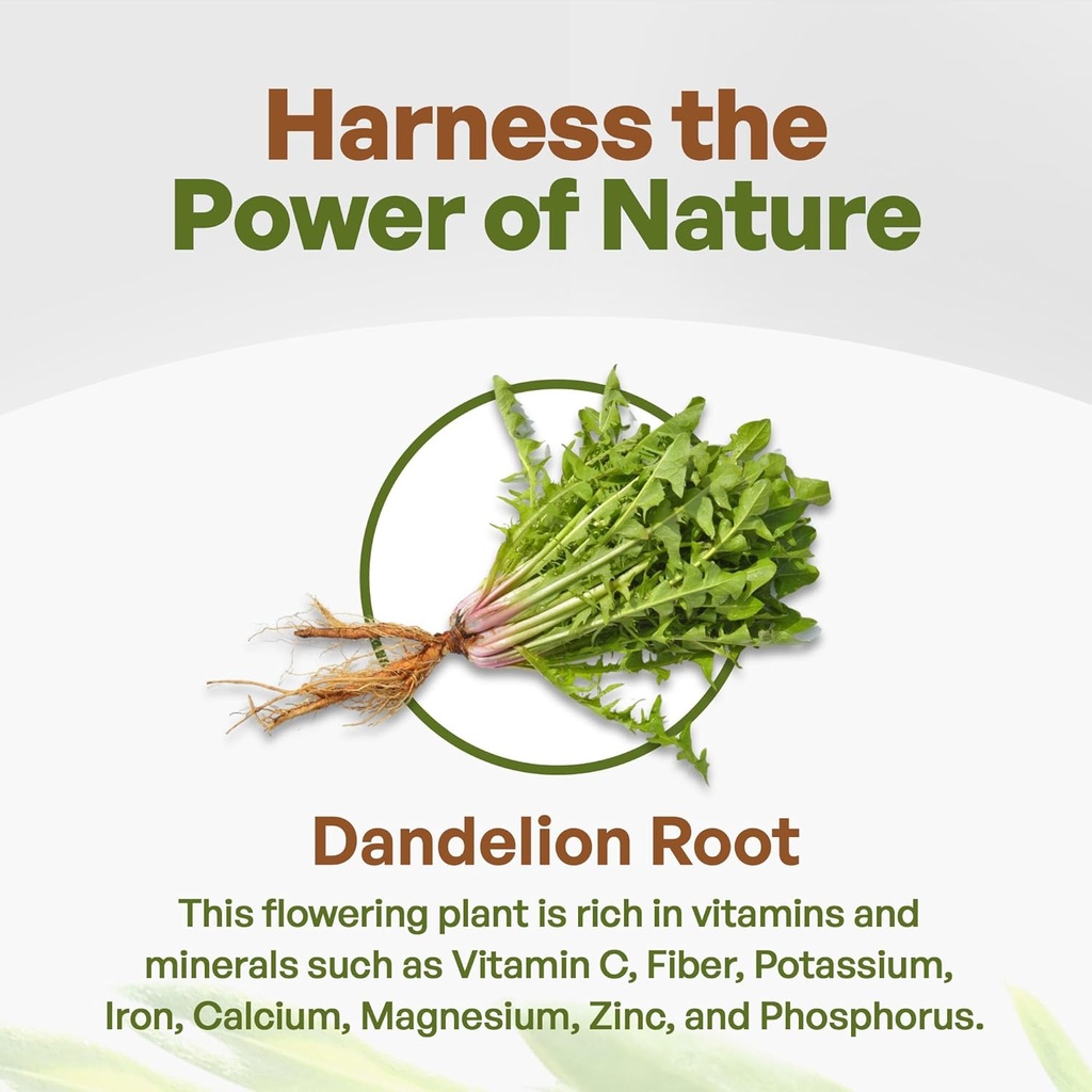 go-nutra-dandelion-root-extract-pure-pow-3.jpg