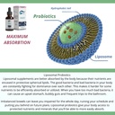 liposomal-probiotics-probiotics-for-wome-4.jpg