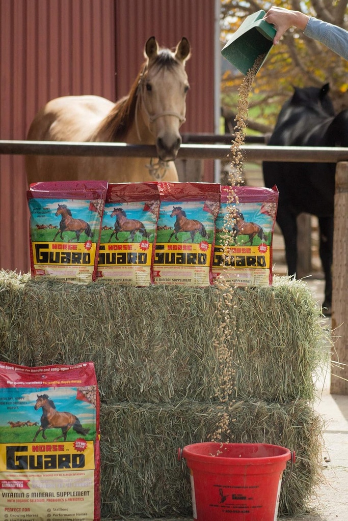 horse-guard-10-lb-equine-vitamin-mineral-2.jpg