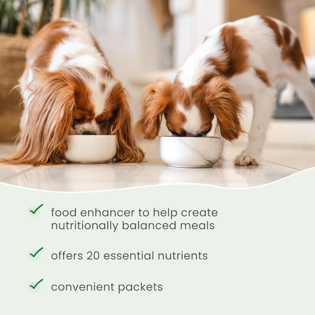 dr-mercola-bark-whiskers-meal-mix-for-ad-4.jpg