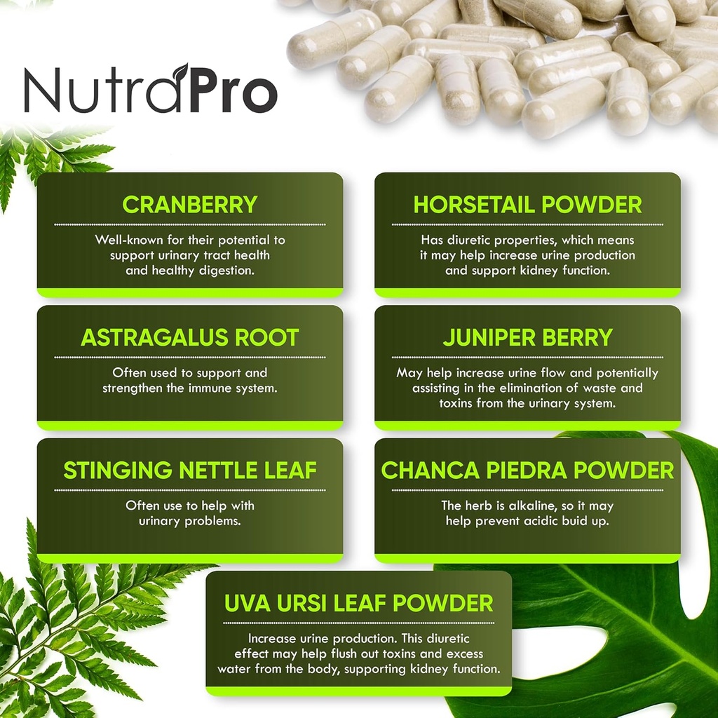 kidney-cleanse-detox-repair-and-bladder--4.jpg