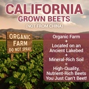 dr-berg-raw-organic-beet-powder-from-rea-2.jpg