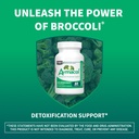 nutramax-laboratories-avmacol-1-research-4.jpg