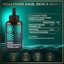 liquid-chlorophyll-drops-with-spirulina--3.jpg