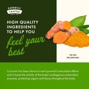swanson-theracurmin---herbal-supplement--5.jpg