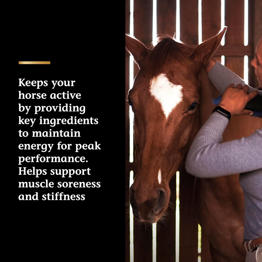 pro-lactanase-pre-performance-show-safe--4.jpg