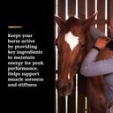 pro-lactanase-pre-performance-show-safe--4.jpg