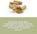cuachalalate-herb-amphipetyglum-adstring-4.jpg