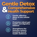mimis-miracle-zeolites-heavy-metal-detox-2.jpg
