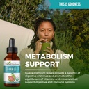 guava-leaf-extract---organic-guava-leave-4.jpg