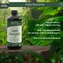 buried-treasure-liquid-chlorophyll-100-m-5.jpg