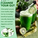 chlorophyll-liquid-drops-organic-liquid--5.jpg