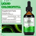 chlorophyll-liquid-drops-organic-liquid--2.jpg