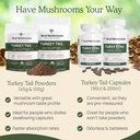 real-mushrooms-turkey-tail-powder-for-hu-5.jpg