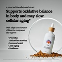 rainbo---chaga-mushroom-tincture---dual--2.jpg