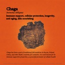rainbo---chaga-mushroom-tincture---dual--6.jpg