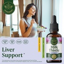 herbamama-milk-thistle-supplement-for-li-2.jpg