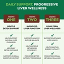 liver-cleanse-detox-repair-supplement-wi-6.jpg