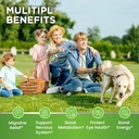 vitamin-b2-gummies-riboflavin-400mg-supp-4.jpg