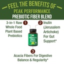 usda-organic-3-in-1-prebiotic-fiber-vega-2.jpg