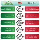 why-not-natural-organic-vitamin-b12-and--4.jpg