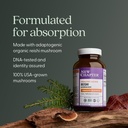 new-chapter-reishi-mushroom---lifeshield-3.jpg