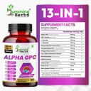 humming-herbs-alpha-gpc-300mg-cdp-cholin-2.jpg